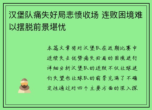 汉堡队痛失好局悲愤收场 连败困境难以摆脱前景堪忧